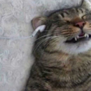 Meet your Posher, Marcin